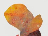 JANNIS KARYDAKIS ”Natur 2017-02” -53x78 cm /Intaglio on paper